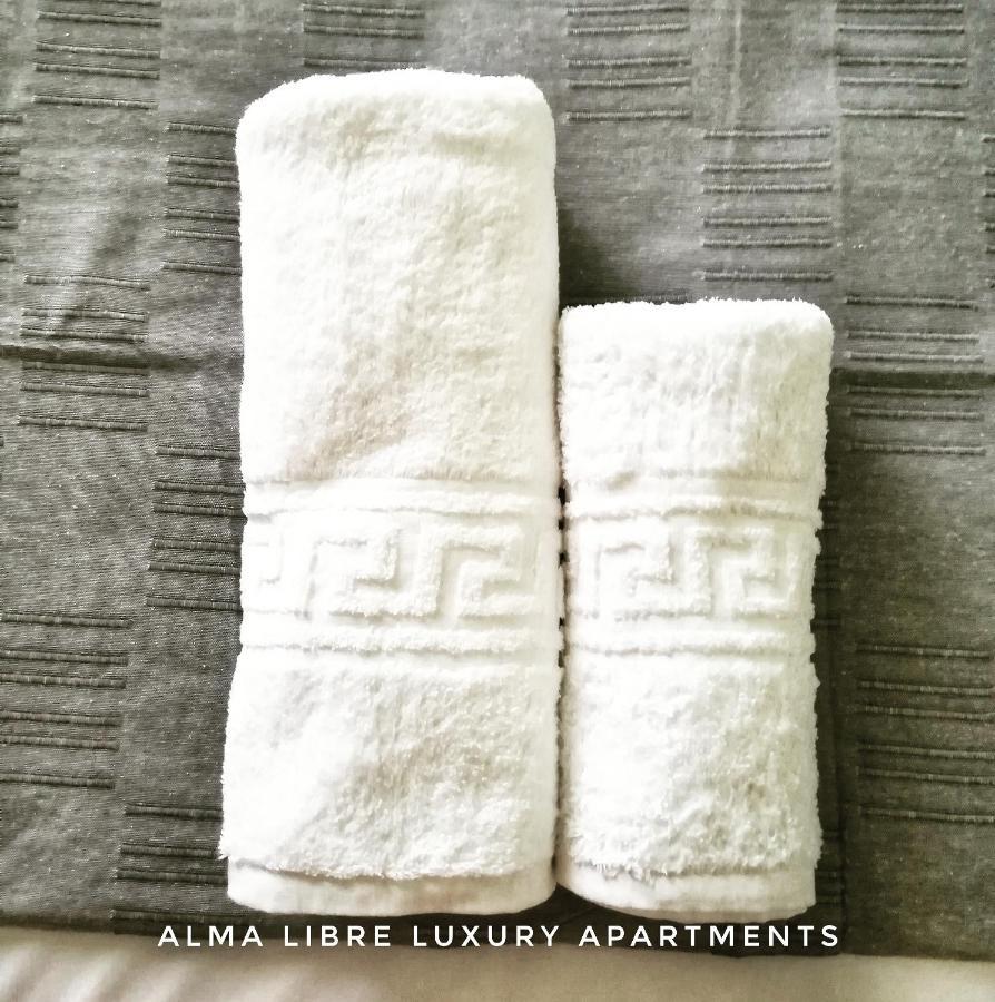 Alma Libre Luxury Apartment 2 Νικήτη Εξωτερικό φωτογραφία